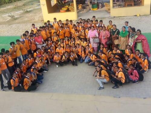 MAPLE JUNGLE TRIP (3)