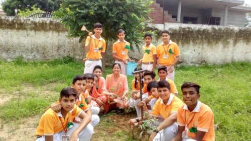 TREE PLANTATION (1)