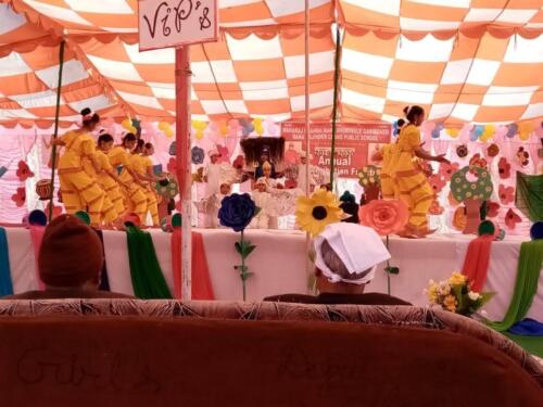 annual function activities (6)