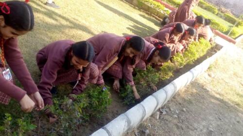 cleanliness camp (2)